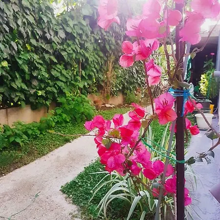 Apartament Apartman Blaza