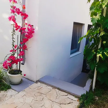 Apartament Apartman Blaza Pakoštane